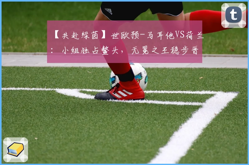 【共赴绿茵】世欧预-马耳他VS荷兰：小组独占鳌头，无冕之王稳步晋级