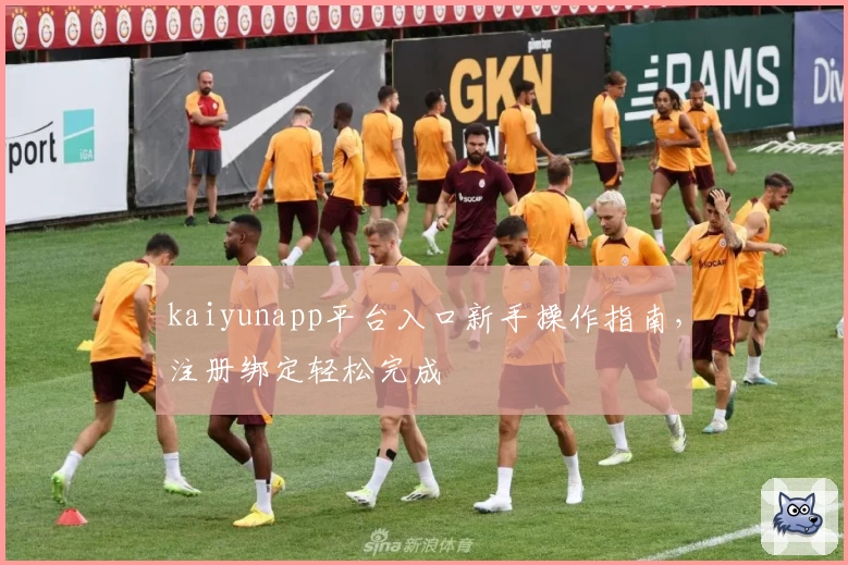 kaiyunapp平台入口新手操作指南，注册绑定轻松完成
