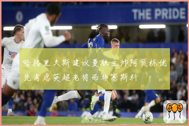 哈格里夫斯建议曼联主帅阿莫林优先考虑英超老将而非塞斯科